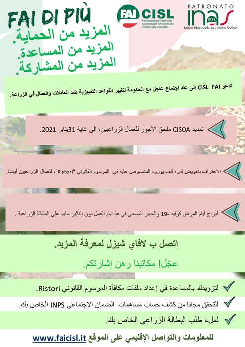 Arabo